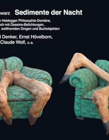 Sedimente der Nacht: Aus der Martin Heidegger Philosophie-Domäne, ein Künstlerbuch mit Daseins-Belichtungen, Wörterspuren und weltfremden Dingen und Buchobjekten