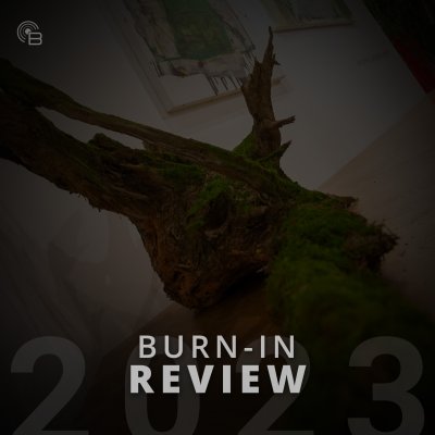BURN-IN Review 2023