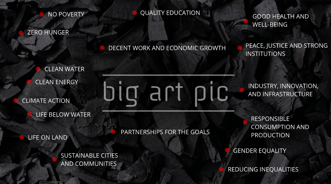 big art pig | SDGs