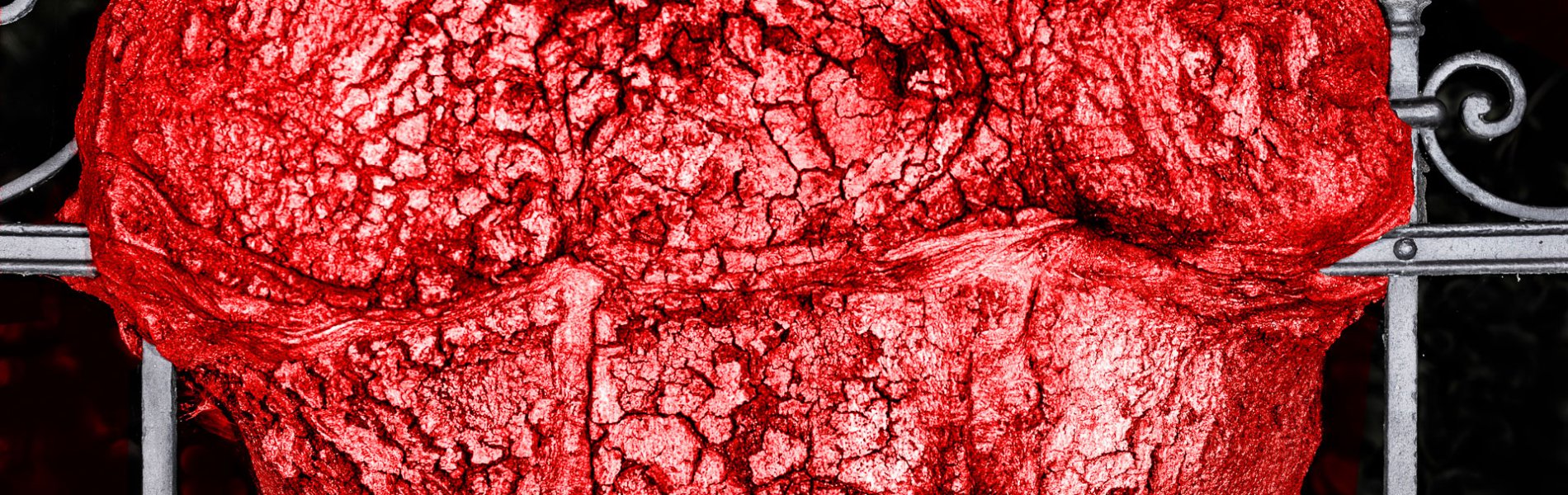 Baum im Zaun - rot