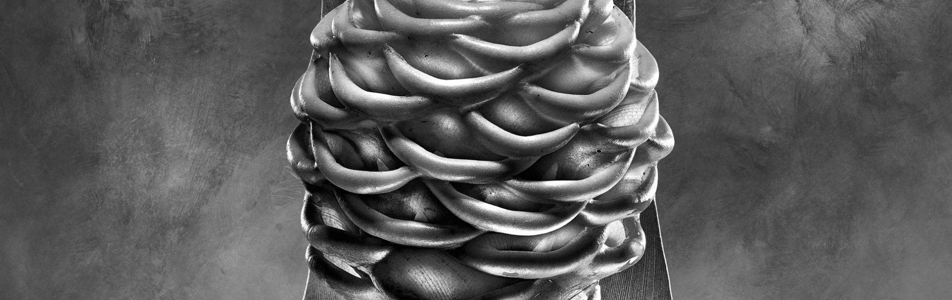 Zingiber spectabile Zingiberaceae