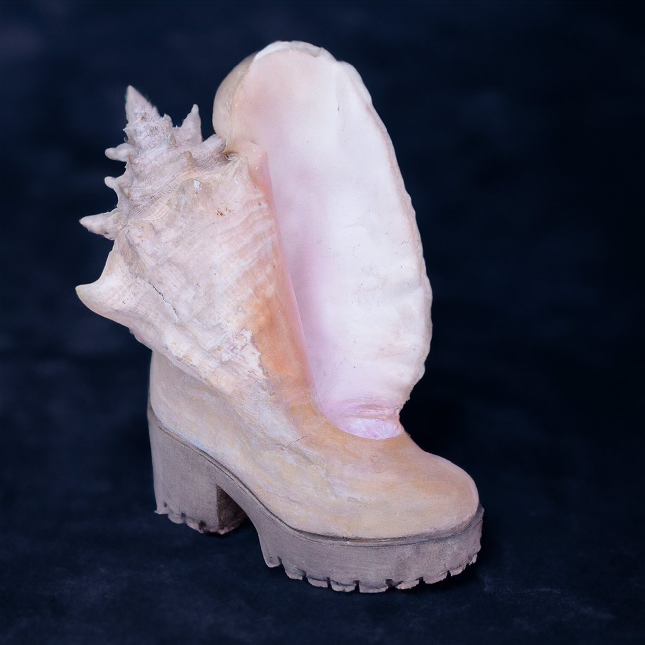 Schuhobjekt Muschel 1