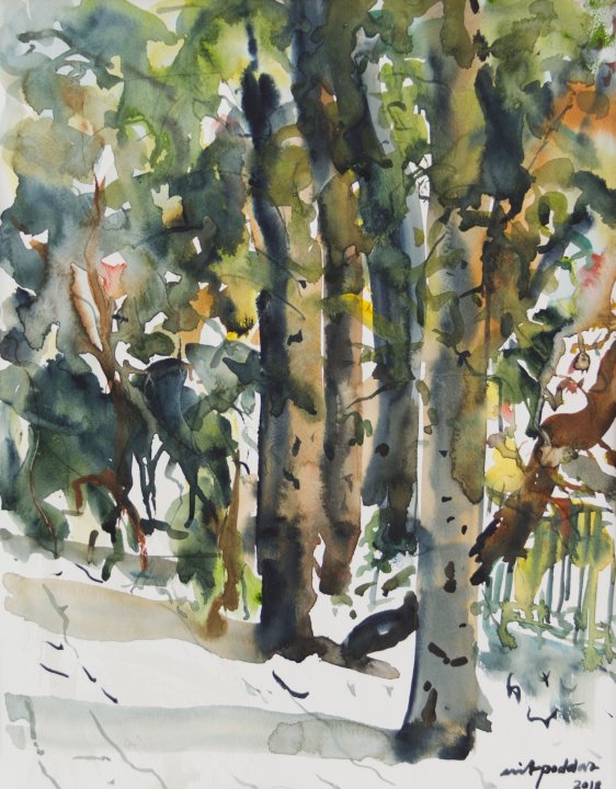 Trees 1