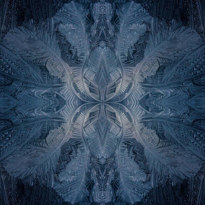 Eisblumen #20180228134029