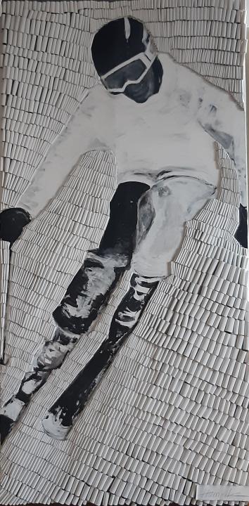 Skiifahrer