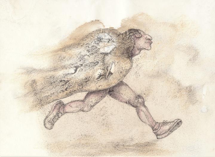 Laufvogel