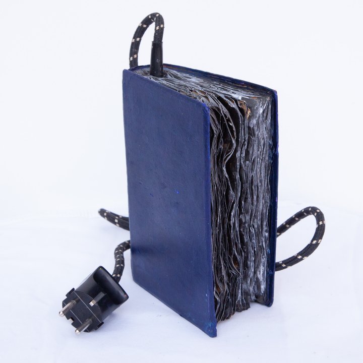 Elektrobuch blau