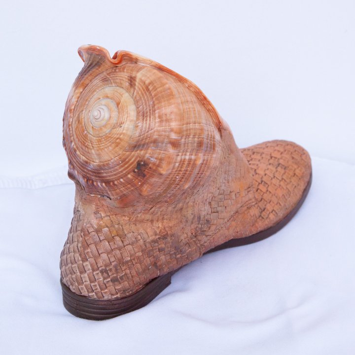 Schuhobjekt Muschel 2