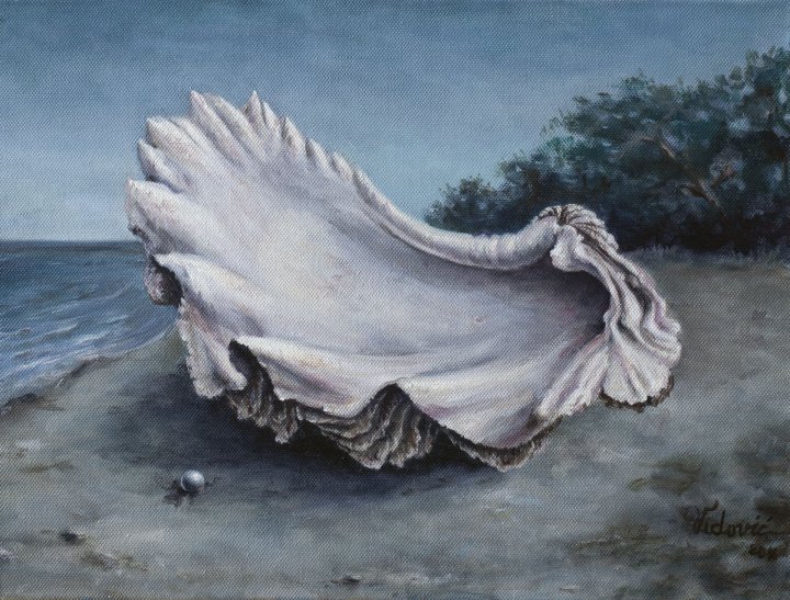 Muschel und Meer