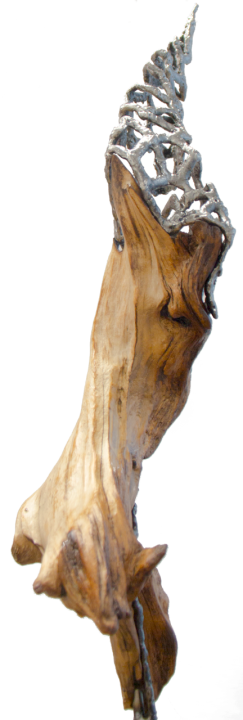 Szep o.T. 5