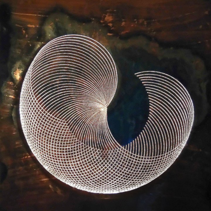 Shell